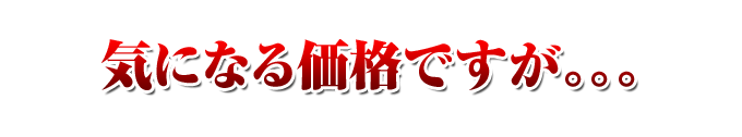 気になる価格ですが。。